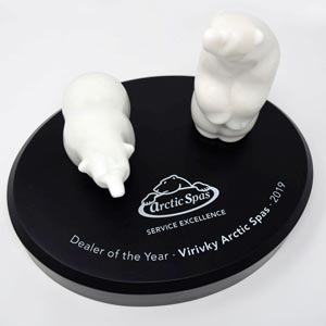 UK Service Award for Virivky Arctic Spas